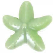 17 mm cuentas de cerámica estrella de mar - Verde iridiscente x5