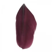 Plumas 6 cm Bordeaux x3gr