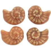 Perla de concha de cerámica 20x16 mm - Terracota - Moteado negro x1