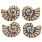 Perla de concha de cerámica 20x16 mm - Beige - Marrón jaspeado x1