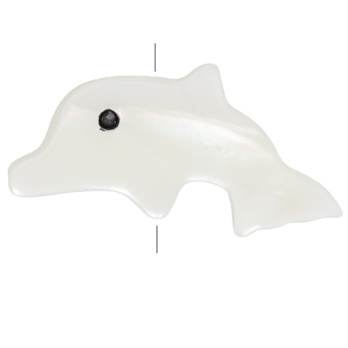 Cuenta delfín de nácar 8x16,5 mm - Natural x1