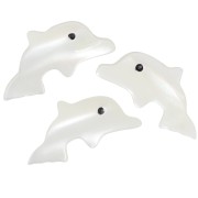 Cuenta delfín de nácar 8x16,5 mm - Natural x1