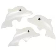 Cuenta delfín de nácar 8x16,5 mm - Natural x1