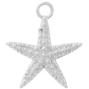 Dije Estrella de Mar 17x15 mm - Plata 925 x1