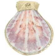 Colgante de concha 37 - 40 mm con adorno Dorado - Natural x1|raw }}