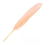 Plumas de 10 a 15 cm Peach Coral x100