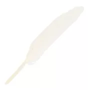 Plumas de 10 a 15 cm Blanco x100