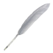Plumas de 10 a 15 cm Gris x100