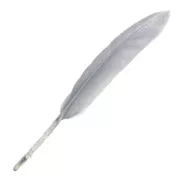 Plumas de 10 a 15 cm Gris x100