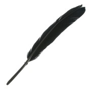 Plumas de 10 a 15 cm Negro x100|raw }}