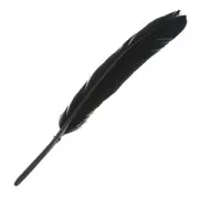 Plumas de 10 a 15 cm Negro x100