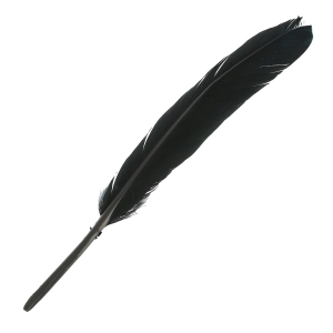 Plumas de 10 a 15 cm Negro x100
