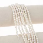 Perlas de agua dulce grano de arroz 5x4,5 mm - Grado AA - Blancas x10