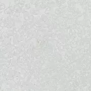 Preciosa Cuenta de rocalla 15/0 - 1,5 mm Cristal x10g