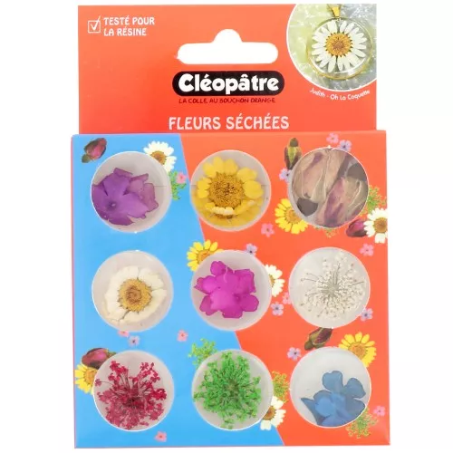 Surtido de 21 flores secas y prensadas Cleopatra - Multicolor