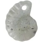 Labradorita - Colgante de piedra preciosa Concha Espiral 20x16 mm - Labradorita x1 Colgante de piedra preciosa Concha Espiral 20x16 mm - Labradorita x1