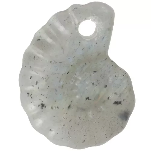 Colgante de piedra preciosa Concha Espiral 20x16 mm - Labradorita x1