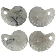 Colgante de piedra preciosa Concha Espiral 20x16 mm - Labradorita x1