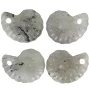 Colgante de piedra preciosa Concha Espiral 20x16 mm - Labradorita x1