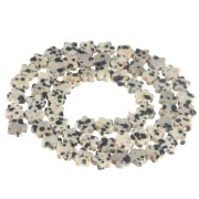 6mm Flor cuentas de piedras preciosas - jaspe dálmata x38cm