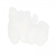 Surtido de plumas de gallo 7 cm Blanco x20|raw }}