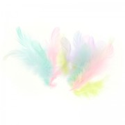 Surtido de plumas de gallo 7 cm Pastel x20|raw }}