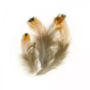 Surtido de plumas de faisán 7 cm Natural x10g