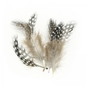 Surtido de plumas de pintada 5 cm Natural x10g