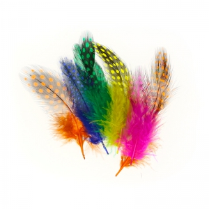 Surtido de plumas de pintada 5 cm Multicolor x10g