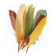 Surtido de plumas de oca 15 cm Otoño x20g