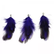 Pluma 65 mm Purple x1