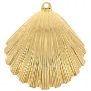Colgante concha 25x23 mm - Dorado con oro fino x1