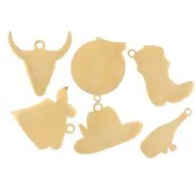 Mezcla de Dijes epoxy Western Girly - Exclu Perles&Co - Acero inoxidable 304L Dorado x6