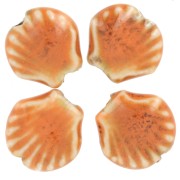 14 mm Cuentas de cerámica de concha - Naranja - Negro moteado x4