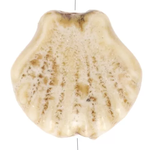 14 mm Cuentas de cerámica de concha - Beige - Moteado marrón x4