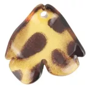 Lentejuelas acrílicas de pétalos de flores de 20x19 mm - Marrón moteado x12