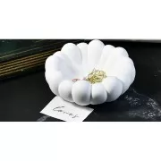 Molde de silicona para un plato de diseño de 14 cm - Transparente x1
