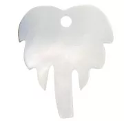 Colgante palmera 18x14 mm, nácar - Natural x1