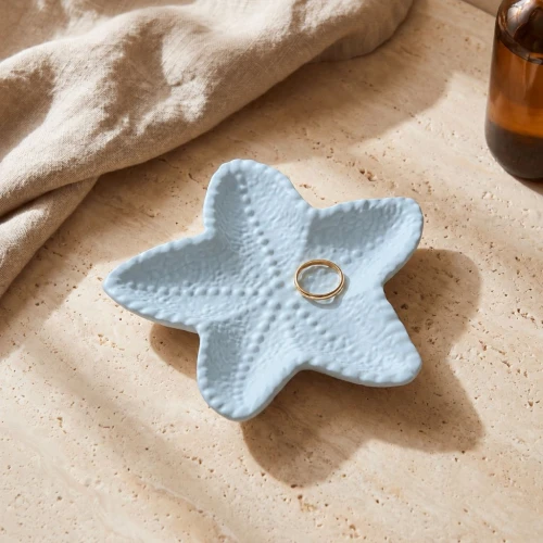 Molde de silicona para plato de estrellas de mar 13,5 cm -Transparente