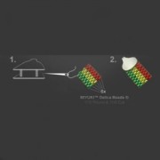 Cierre mosquetón Terminal 9 mm pour Miyuki 11/0 6 rangs plata 925
