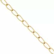 Cadena de caballo 3,3 mm - acero inoxidable 316L dorado x50cm