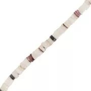 Cuenta Heishi conchas 3 mm Tiger Cowrie Marron x 62cm