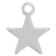 Dije estrella 11.5x9.5 mm en acero inox 304 x1