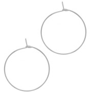 Pendientes de aro de 25 mm para decorar - Acero inoxidable 316L x2