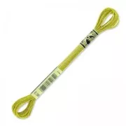 Hilo para bordar DMC Mouliné Efecto Luz Light Topaz (3852) x8m