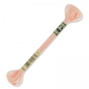 Hilo para bordar DMC Mouliné Efecto Luz Light Peach (967) x8m|raw }}