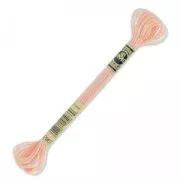 Hilo de bordar DMC Mouliné Effet Lumière Light Peach (E967) x 8 m