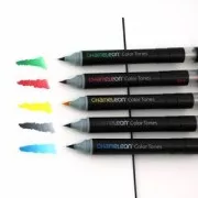 Surtido Cool Tones Set Chameleon - 5 marcarodes