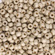 Rocalla Miyuki Duracoat 8/0 4201F - Plata Galvanizada Mate x8g