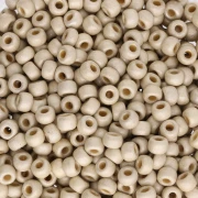 Rocalla Miyuki Duracoat 8/0 4201F - Plata Galvanizada Mate x8g